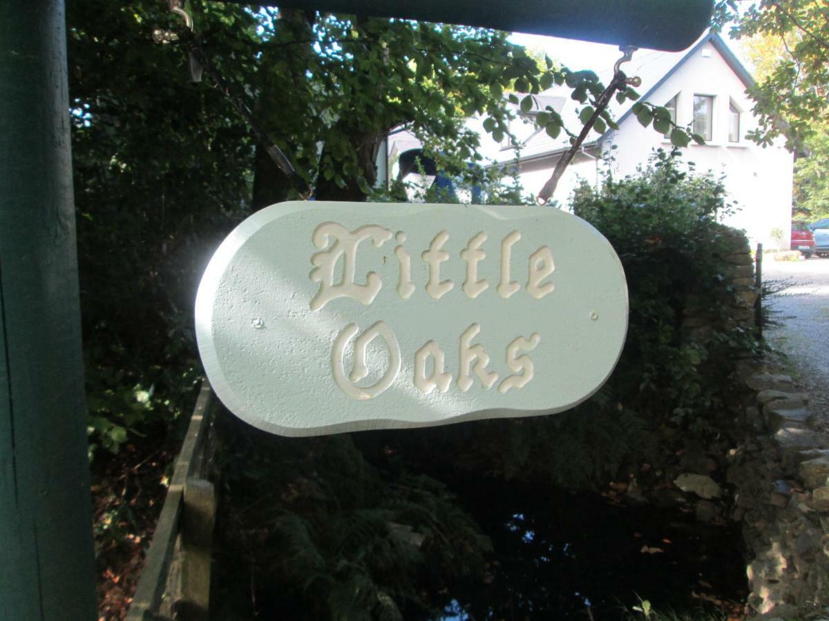 Ashford The Willow Room מראה חיצוני תמונה