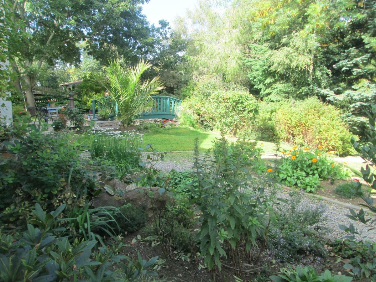 Ashford The Willow Room מראה חיצוני תמונה